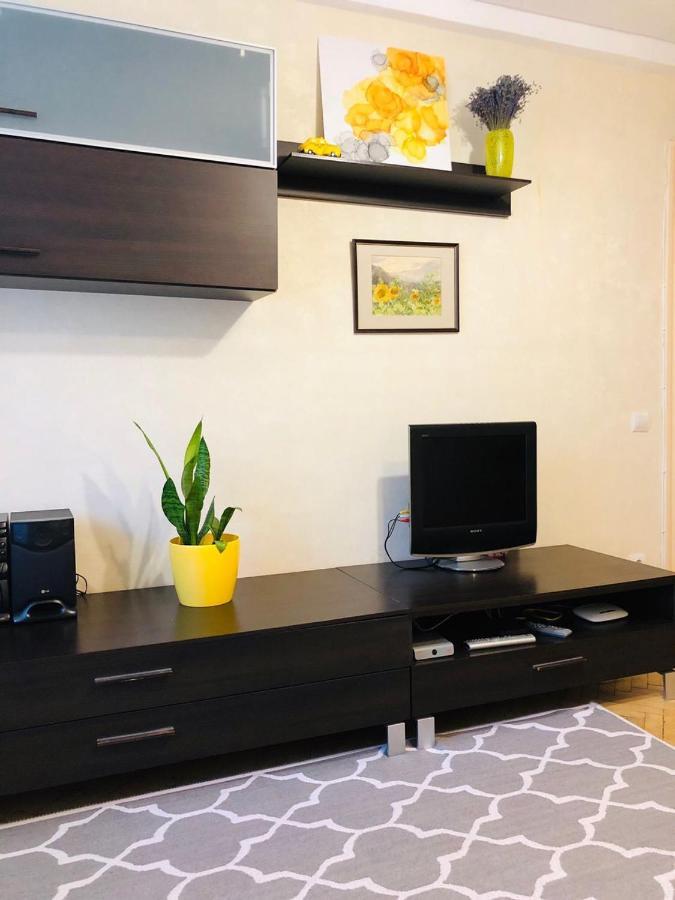 Sunflower Apartment Near Kiev Airport & Railway Station & Center City! Esterno foto